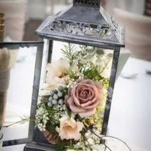 Meet your Posher, Rosa